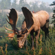 Imagen para el artículo titulado Un estudio destaca el valor de los videojuegos como herramienta para incrementar el amor por los animales